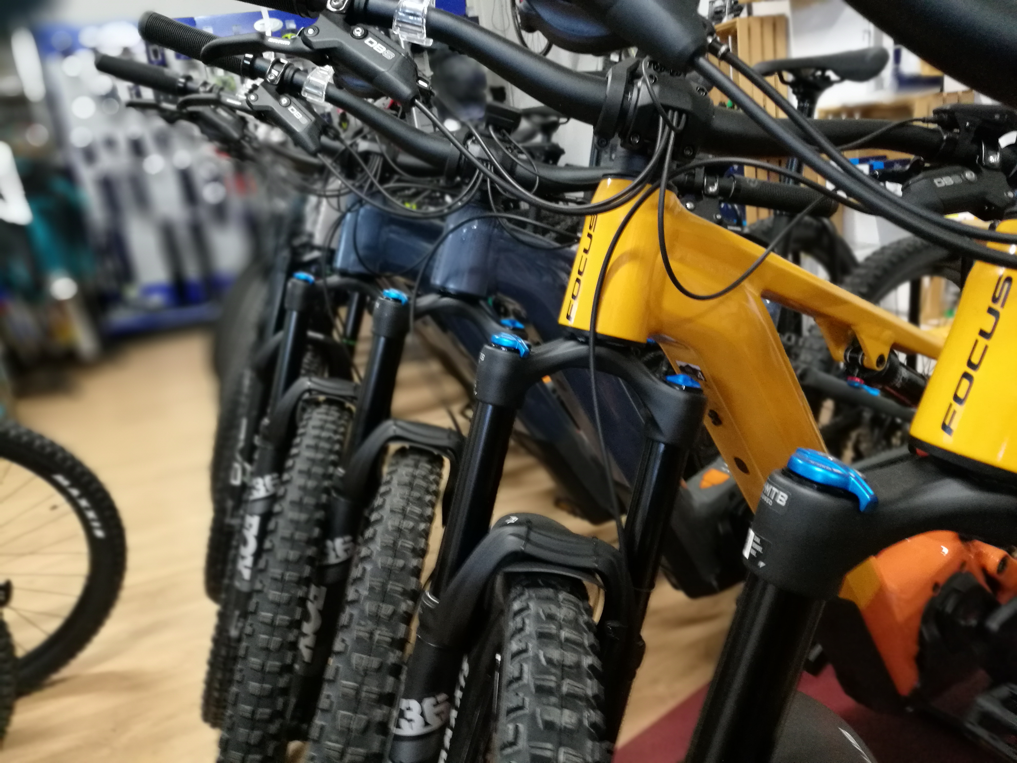 Focus bicykle