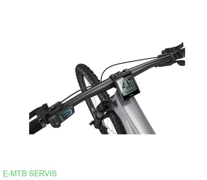 Bosch Intuvia 100 Display